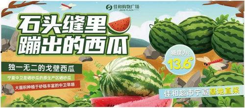 吃瓜大赛免费,吃瓜大赛免费狂欢，全民瓜王争霸赛即将开启！